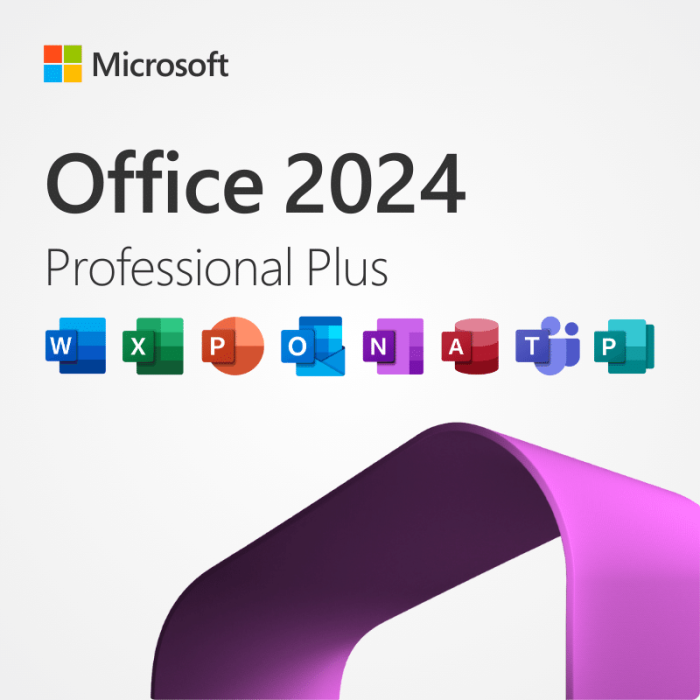 Microsoft Professional Plus 2024 - Windows Version
